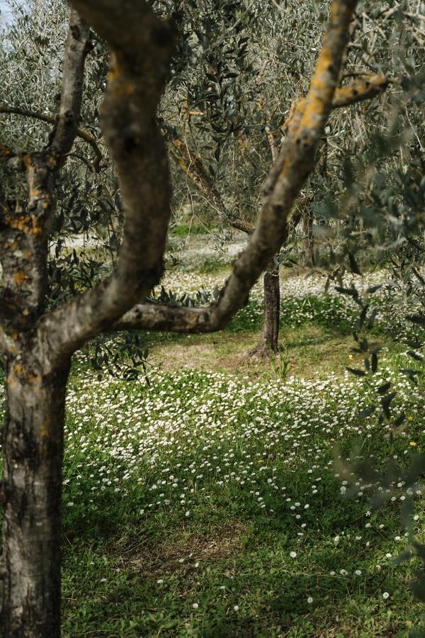 Villa Nottola Montepulciano Stazione المظهر الخارجي الصورة