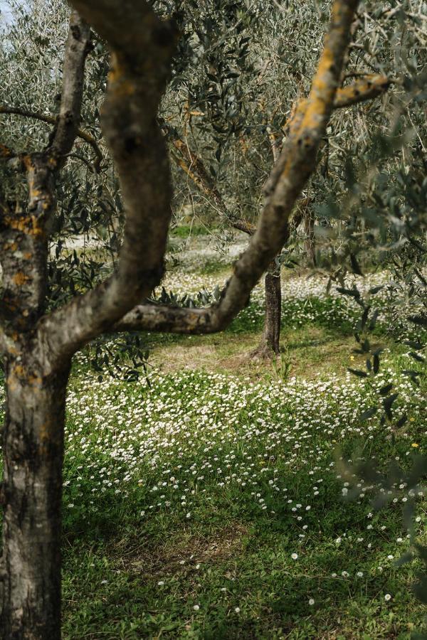 Montepulciano Stazione Villa Nottola المظهر الخارجي الصورة